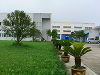 Company Profile