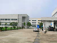 Company Profile
