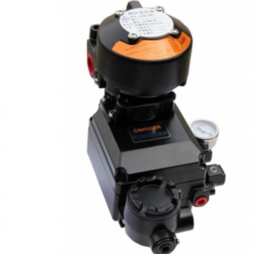 YT1000外置变送器